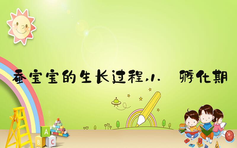 蚕宝宝的生长过程 1. 孵化期